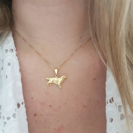 Colar com Golden Retriever