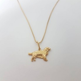 Colar com Golden Retriever